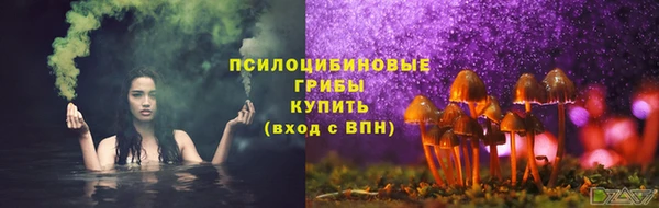 apvp Бутурлиновка