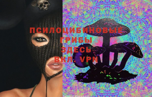 apvp Бутурлиновка