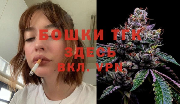 гашик Коряжма