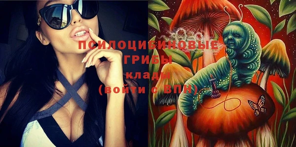 гашик Коряжма