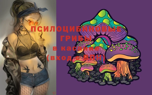 гашик Коряжма
