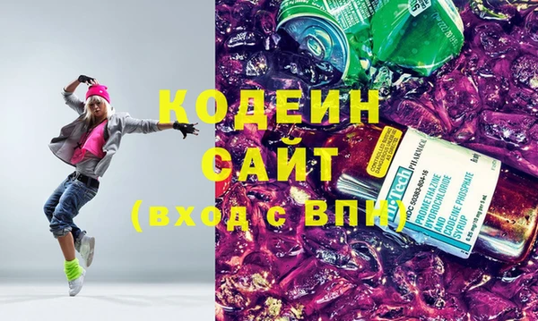 гашик Коряжма