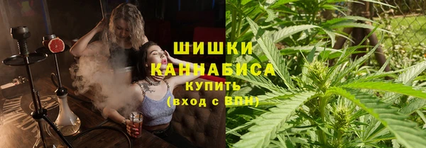 гашик Коряжма