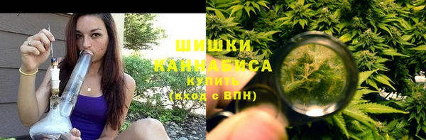 гашик Коряжма